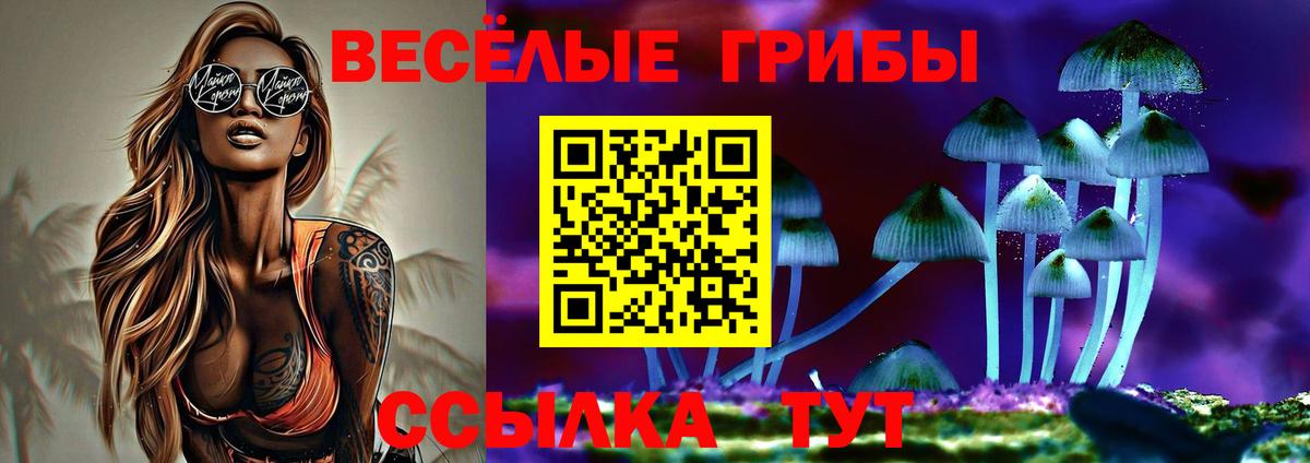 Псилоцибиновые грибы Psilocybe  Вход с VPN  Орёл  Псилоцибиновые грибы мухоморы 